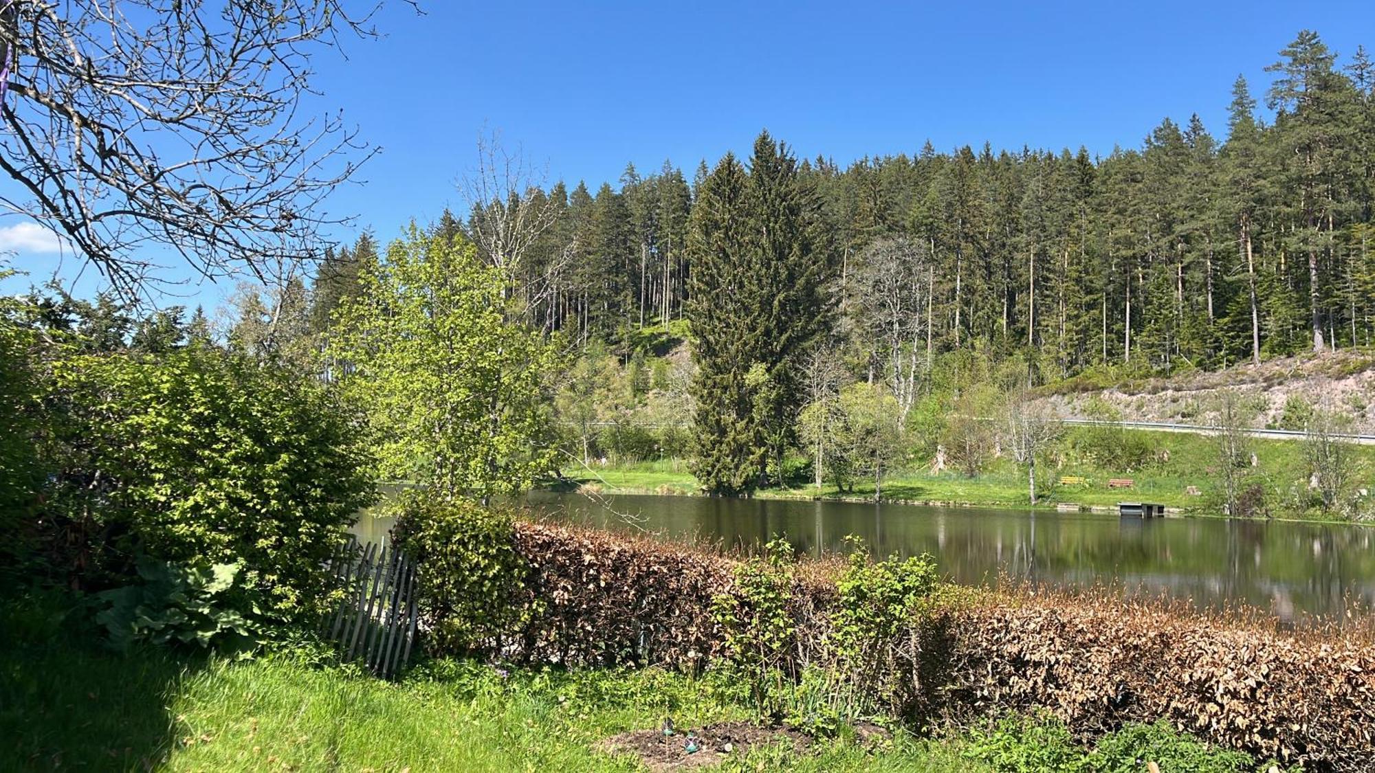 Haus Am See - Natur Pur Friedenweiler Bagian luar foto