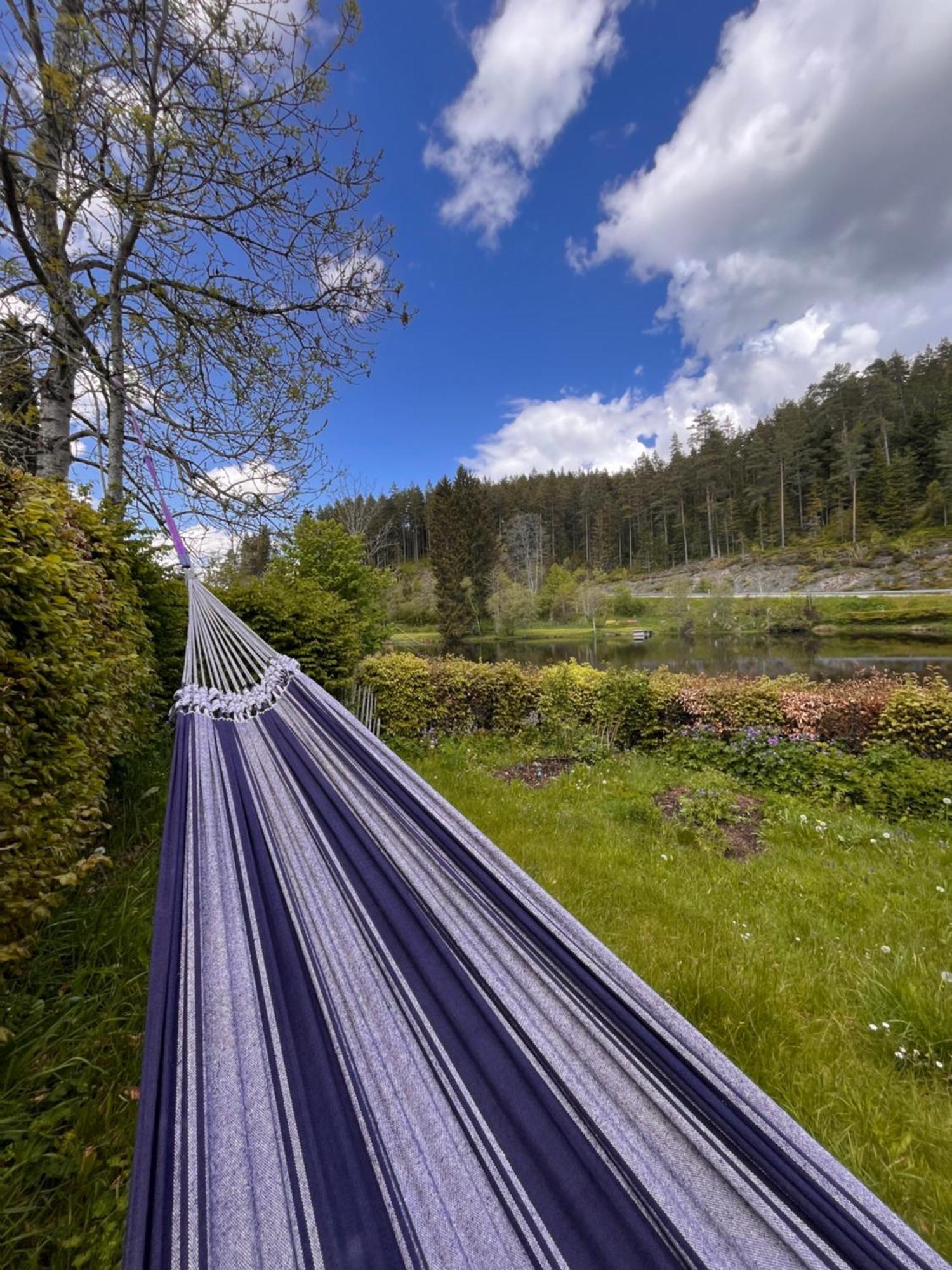 Haus Am See - Natur Pur Friedenweiler Bagian luar foto