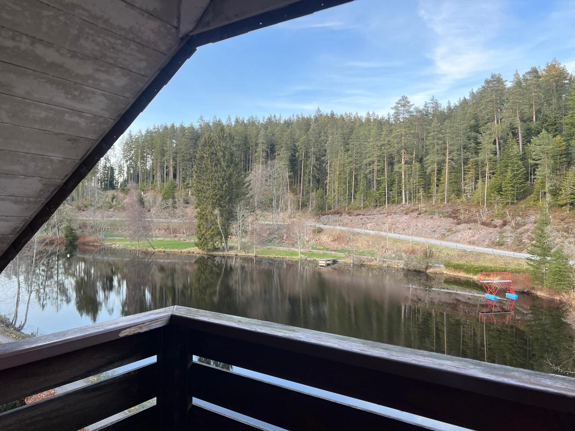 Haus Am See - Natur Pur Friedenweiler Bagian luar foto