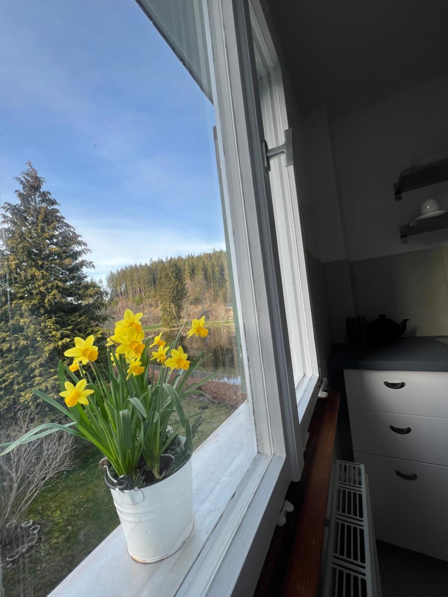 Haus Am See - Natur Pur Friedenweiler Bagian luar foto