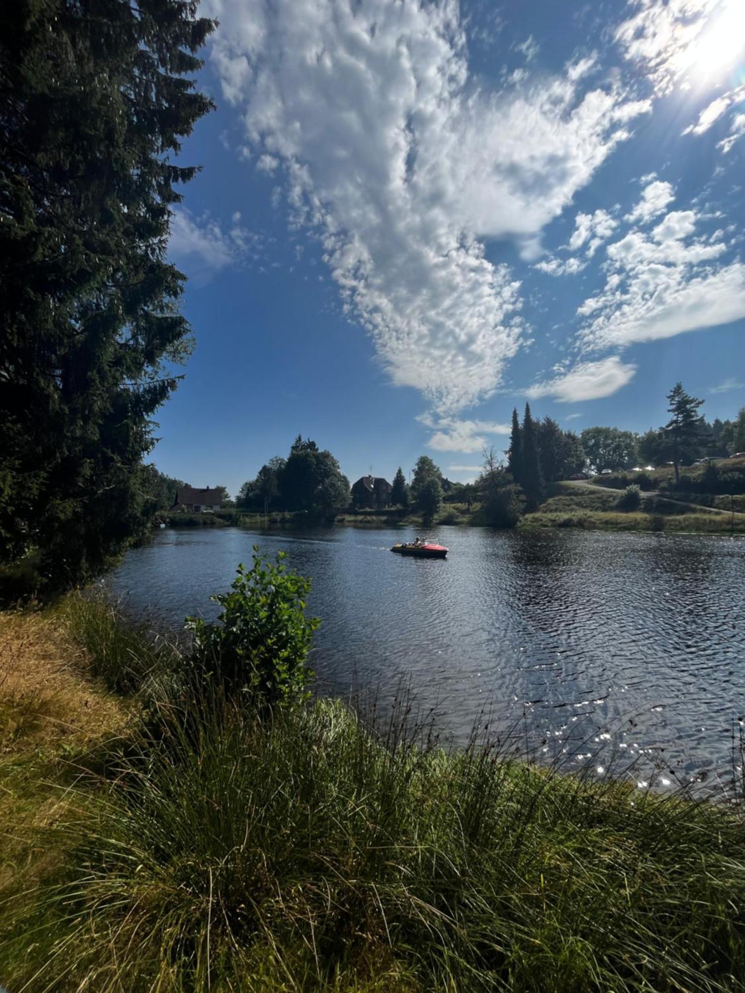 Haus Am See - Natur Pur Friedenweiler Bagian luar foto