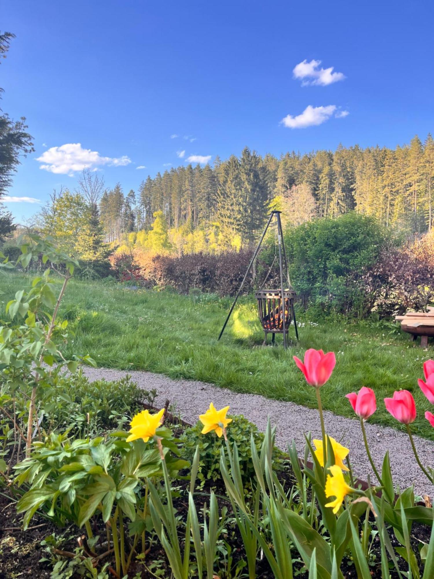 Haus Am See - Natur Pur Friedenweiler Bagian luar foto